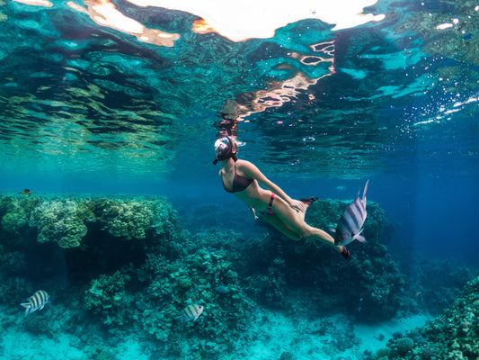 The Ultimate Guide to Snorkeling Gear for Adults