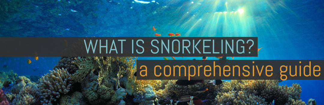 WHAT IS SNORKELING? | A COMPREHENSIVE GUIDE
